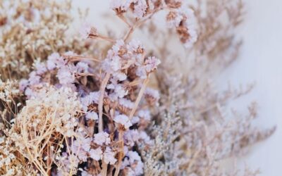Qu’est-ce que le style de déco holistique ?